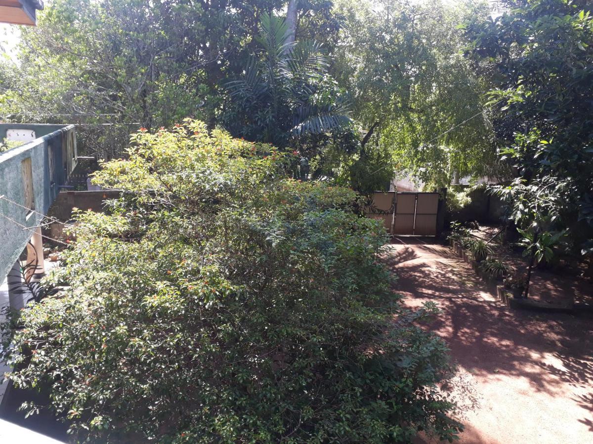 Guesthouse Sunshine Aluthgama Exterior foto